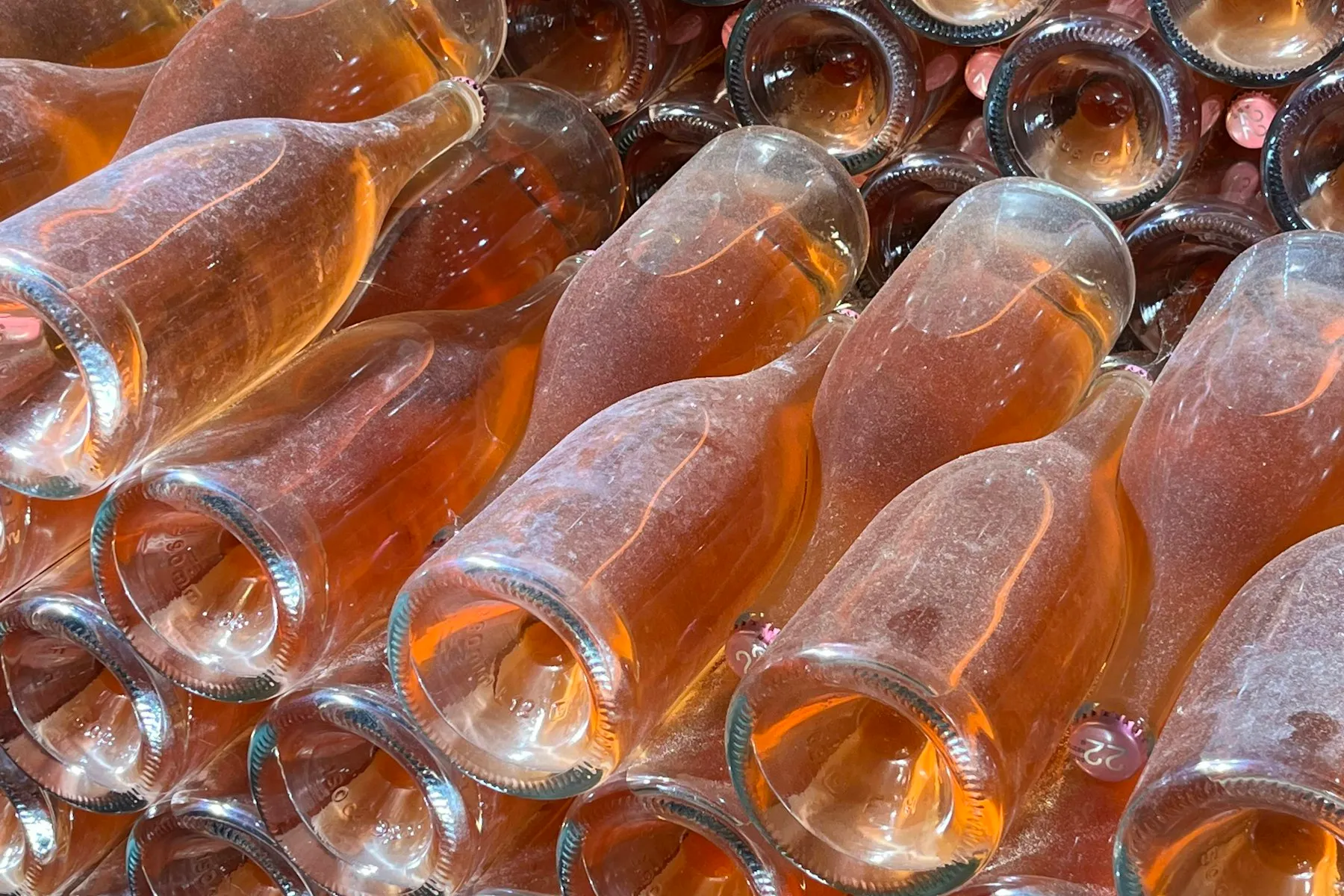 Bottles resting in a wine cellar