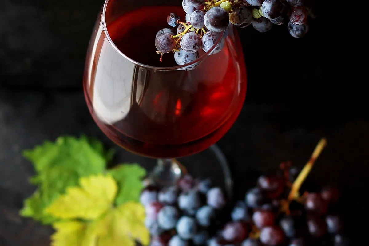 Glasswise vs. U-Label (Scantrust): Which E-Label Platform Fits Your Winery?
