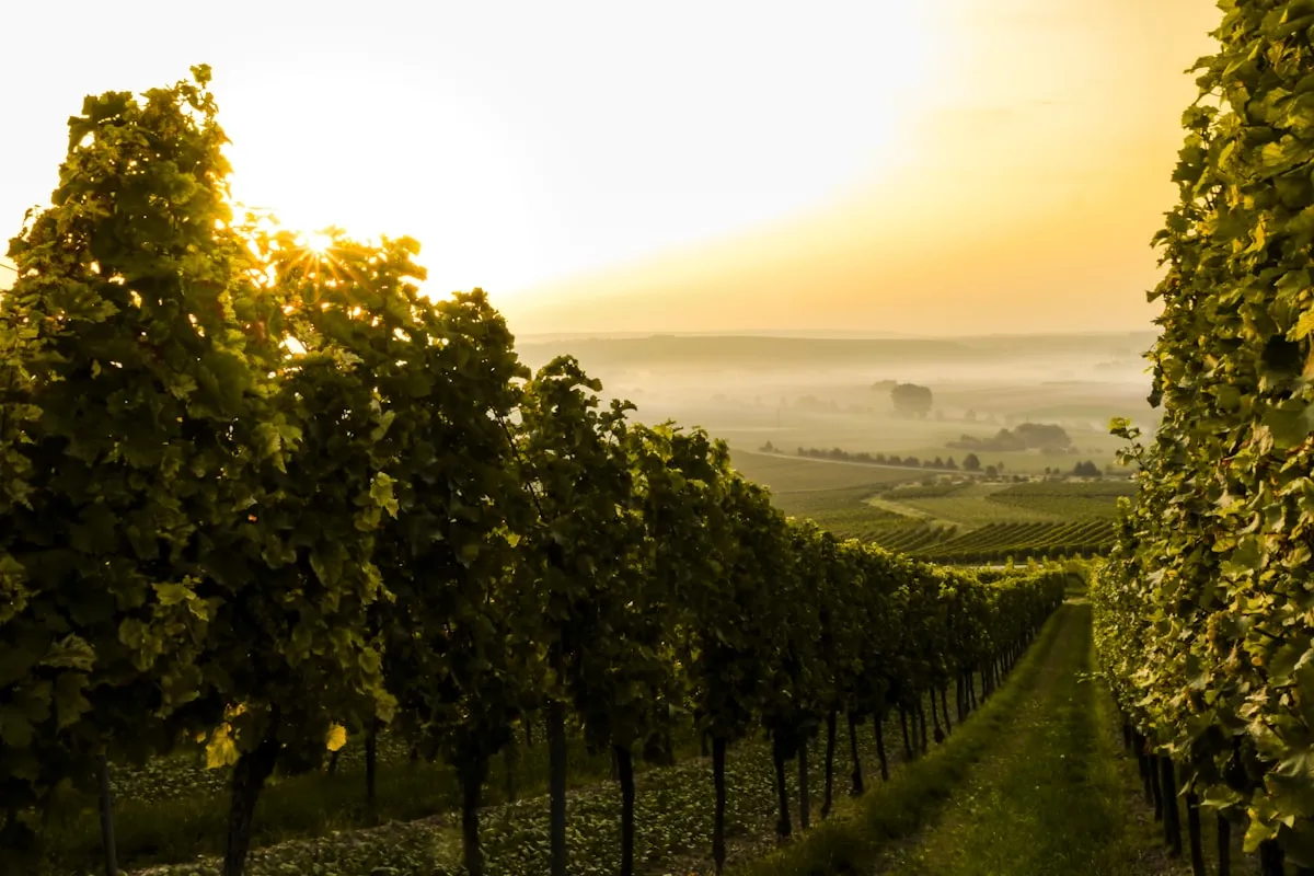 What's New in Glasswise - April 2026